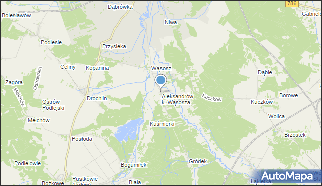 mapa Aleksandrów k. Wąsosza, Aleksandrów k. Wąsosza na mapie Targeo